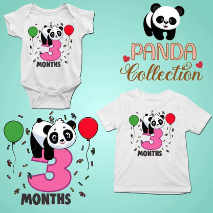 Monthly milestone-3rd month birthday panda T-shirt