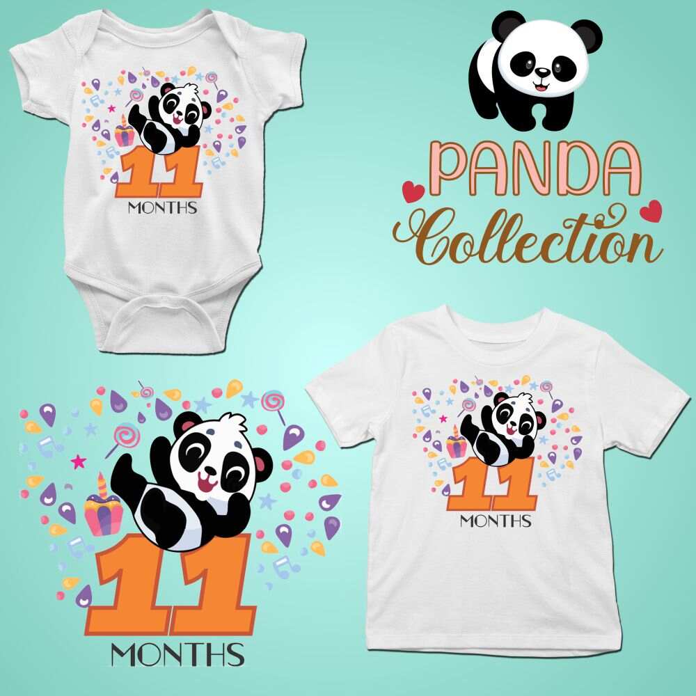 Monthly milestone-11th  month birthday panda T-shirt
