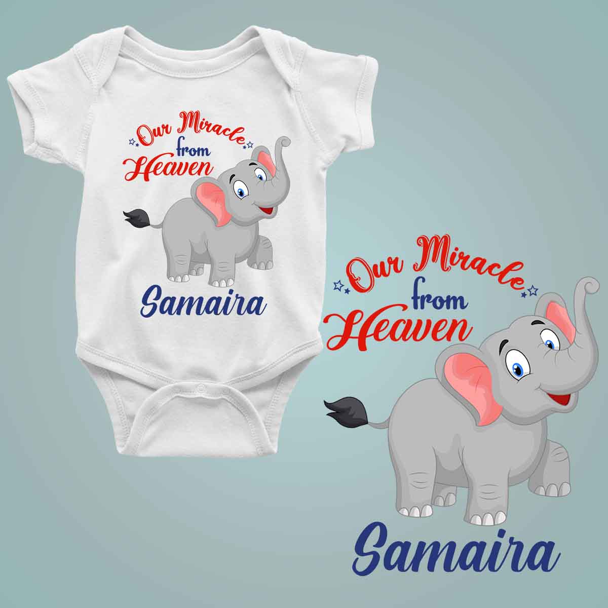 our miracle from heaven elephant white